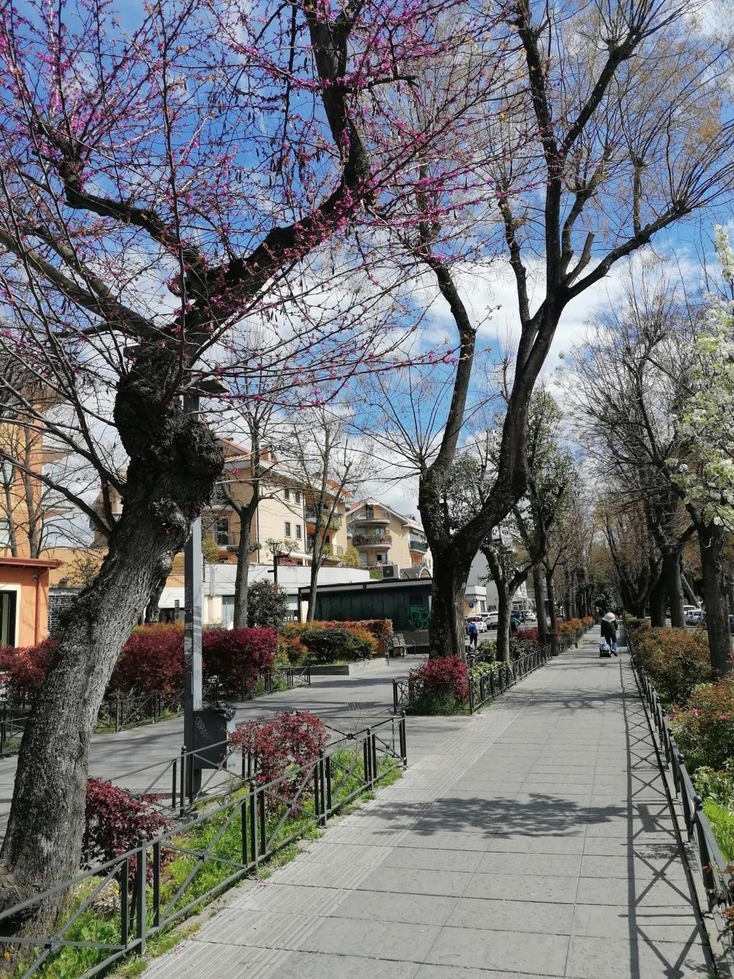 Appartamento La Passeggiata Monterotondo  Esterno foto